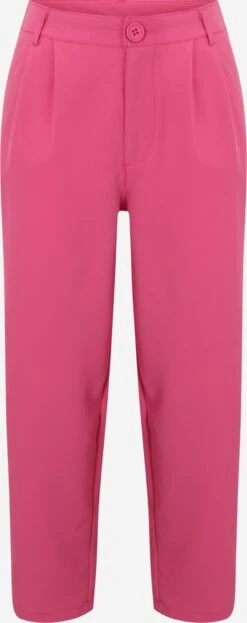 Noisy May Petite Broeken Regular Pantalon SELLINA Dames Pink