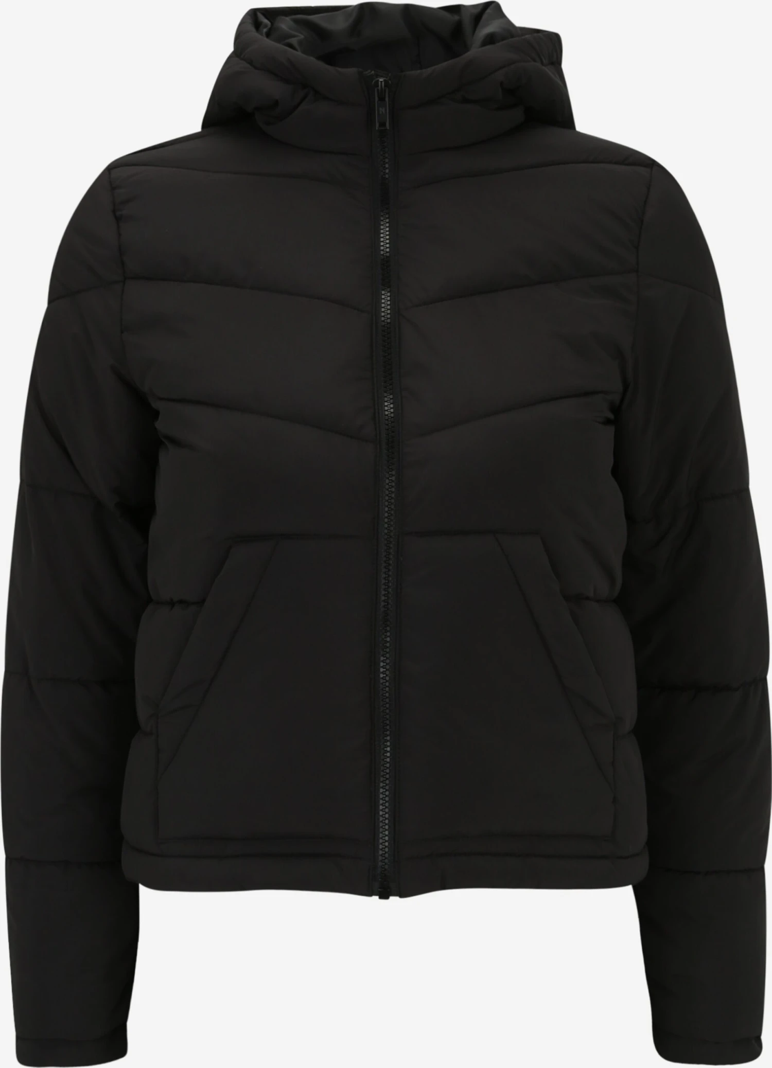 Noisy May Petite Tussenjassen Tussenjas DALCON Dames Zwart 3 Noisy May Petite Tussenjassen Tussenjas DALCON Dames Zwart