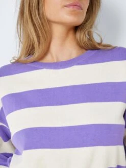 Noisy May Fijngebreide Truien Trui Zoe Dames Donkerlila -Noisy May Winkel fb173e27edb426f00b7b88c229e94c07